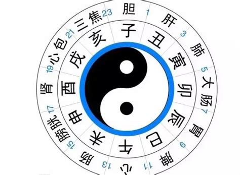 少陰意思|《中醫詞典》解釋「少陰」的意思